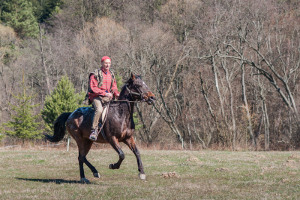 Nauka jazdy konnej w Beskidach dla początkujących